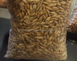 Malt d'orge de qualité supérieure en gros pour chevaux et bovins, 25 kg/sac, directement de l'usine d'Afrique du Sud à prix compétitif - Product Image 2