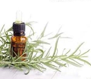 Aceite de Romero de alta calidad, fabricante de la India - Product Image 1