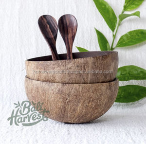 Cuillère et ustensiles de cuisine en noix de coco naturelle faits à la main - Écologiques certifiés CE - Product Image 5
