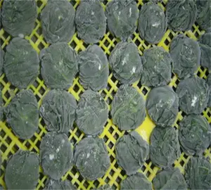 Замороженные шарики из листьев шпината и листьев