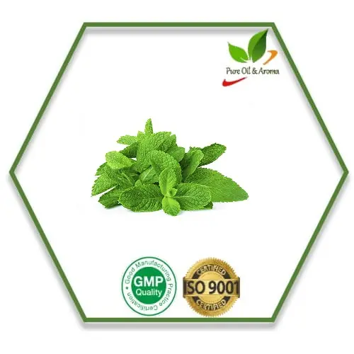 Groothandel Bulk Prijs Organische Spearmint Essentiële Olie Fabrikant 100% Pure En Natuurlijke Spearmint Olie