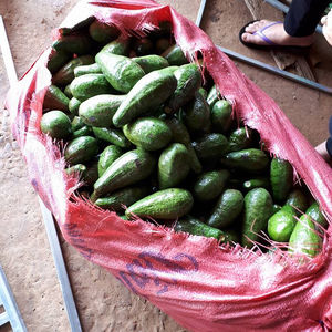 อะโวคาโดสด/อะโวคาโดสดแช่แข็งอะโวคาโด-ราคาที่ดีที่สุดและ2021คุณภาพ - Product Image 2