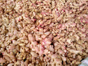 Gừng Tươi Chất Lượng Cao Giá Tốt Nhất - Product Image 3