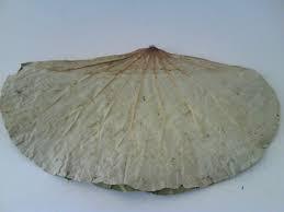 แข็งแรงกว่าด้วยดอกบัวแห้ง LEAF_LOTUS LEAVES_TEA/จากเวียดนาม/คุณภาพสูง - Product Image 4