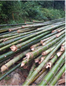 Baguettes de bambou, crochet vietnamien - Product Image 3