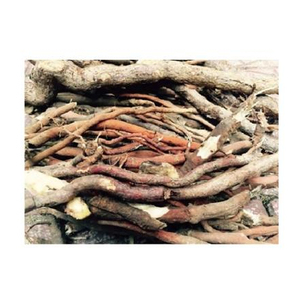 RIZO DE CURCULIGO - Product Image 1