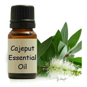 Huile essentielle biologique de cajeput Huile liquide 100% pure naturelle de qualité supérieure pour diffuseur et spa - Product Image 3