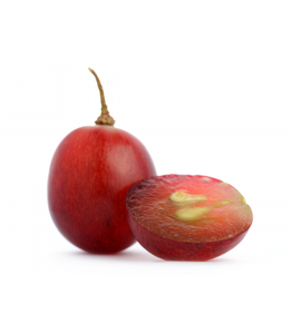 Precios Competitivos al por Mayor en Aceite de Semilla de Uva Orgánico Puro Prensado en Frío de España, Proveedor y Exportador Mayorista - Product Image 3