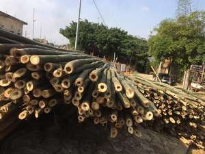 เสาไม้ไผ่ที่เป็นมิตร/รั้วไม้ไผ่ดิบ - Product Image 2