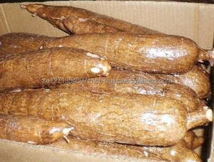 Raíz de Yuca Fresca (Tapioca Fresca) de Primera Calidad de Sudáfrica, 2 Años de Duración, a Granel y a Bajo Precio - Product Image 4