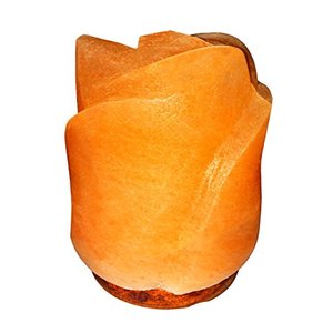 Eleve el Ambiente de su Espacio con el Encanto de las Lámparas Temáticas de Flores Talladas en Material Orgánico con Forma de Rosas - Sian Enterprises - Product Image 1