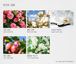 Crema de Manos perfumada coreana-aroma Floral de almizcle - Product Image 4