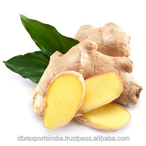 Aceite de jengibre Co2 para oficina, aceite esencial de Co2, aceite de jengibre puro - Product Image 6