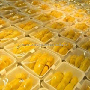 DURIAN CONGELADO BQF, Suministro Congelado al Por Mayor, Mejor Precio, Durian Mustang King Congelado al Mejor Precio para Exportación, Caja de Cartón, Todo el Año, 1*20'FCL - Product Image 6