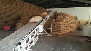 เม็ดมะม่วงหิมพานต์ดิบคุณภาพสูงจาก ww240แอฟริกาใต้ ww320 ww450 SW240 SW320. - Product Image 3