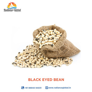 Frijoles Negros para Exportación en Bolsas de PP de 15kg/25kg/50kg, Vida Útil de 2-3 Años, Certificados por APEDA e ISO - Product Image 3