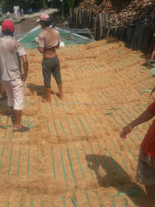 Meilleure qualité, prix le moins cher/fibre de coco du Viet Nam - Product Image 5