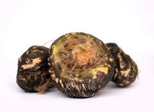 Reputado fabricante y proveedor de polvo de raíz de Maca peruano certificado por la UE - Product Image 2