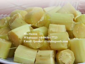 Caña de Azúcar fresca/caña de azúcar - Product Image 3