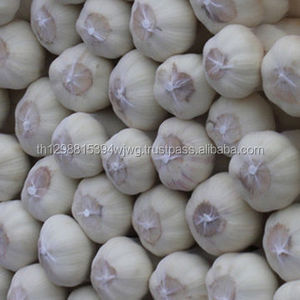 Fournisseur d'ail gorge frais épluché 100%, nouveauté - Product Image 2