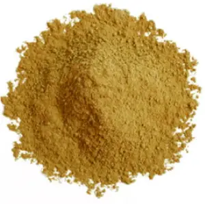 Polvo de extracto de hoja de morera japonés de alta calidad hecho en Japón para alimentos saludables y suplementos dietéticos - Product Image 1