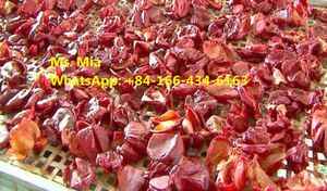 ผงผลไม้กัคเวียดนามสำหรับขายส่ง โซฟี - Product Image 3