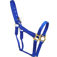 Harnais pour cheval en nylon avec quincaillerie en laiton poli, durable, confortable, réglable, toutes tailles et couleurs