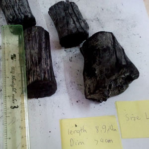 CHARBON DE BOIS BLANC de haute qualité et bon prix - Product Image 2