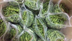 Pimiento Verde Fresco al Precio Más Bajo para Exportación - Product Image 6