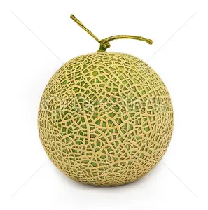 ผลไม้แคนตาลูปมาตรฐานยุโรป// คุณเจนนี่ - Product Image 1