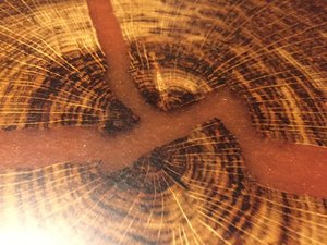 Muebles de lujo Diseño moderno Bloque de placa de madera maciza Resina epoxi Live Edge Mesa de centro, mesa auxiliar, mesa de sofá - Product Image 2