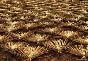 Panier de rangement en jacinthe d'eau vietnamienne, produit durable et écologique - Product Image 4