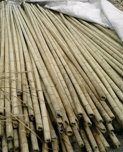 เสาไม้ไผ่คุณภาพสูง - Product Image 6