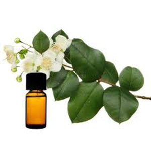 100% tự nhiên tiên tiến điều trị lớp chanh Myrtle & hương thảo tinh dầu chanh tươi & dầu tăng trưởng tóc - Product Image 4