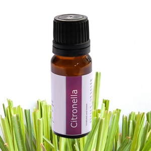 Aceite esencial de citronela orgánico natural puro 100% al por mayor, ingrediente de árbol de té, repelente de mosquitos GMP, OEM disponible - Product Image 3