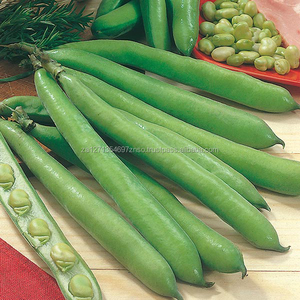 Haricots secs de qualité supérieure avec coque, emballage en vrac, haricots frais, durée de conservation de 24 mois - Product Image 1