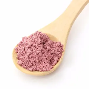 Rose Petal Powder Best Rose Petal Extract Powder Buy From Leading Exporter From India