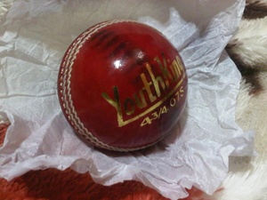 Cricket Ball Cricket Products Cricket Wear and Gear Leather Ball - Product Image 4