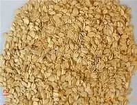 Quick Cooking Thin Oat for Sale