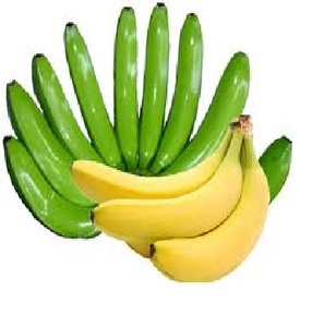 Plátano fresco-precio más bajo-la buena calidad 2024 - Product Image 4