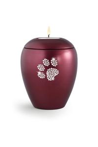 Mascota gato Odyssey urna - Product Image 4