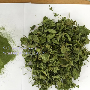 ใบบัวบกใบบัวบก/ใบบัวบก/ผงใบ PENNYWORT - Product Image 2