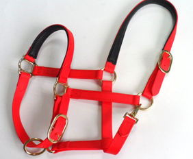 Licol pour cheval en PVC, imperméable et résistant |   Collier de tête réglable avec des attaches métalliques et des attaches en acier inoxydable - Product Image 2
