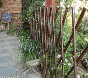 Cercas de Bambú en Oferta con el Mejor Precio y Alta Calidad - Product Image 1