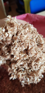 Afeitado de madera de pino para animales, precio barato - Product Image 3