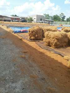 Vente En Gros BIOACTIVE COCO PEAT-Cocopeat Décomposé Pour Plante/Jardin Du Vietnam - Product Image 5