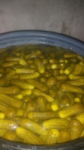 แตงแตง/แตงกวา/CORNICHON จากเวียดนามที่มีคุณภาพสูง - Product Image 6