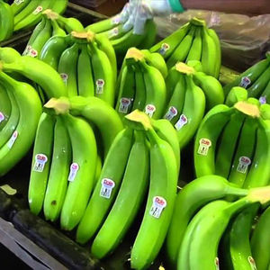 Plátano Cavendish/Plátano de alta calidad Vietnam - Product Image 2