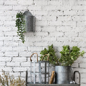 Maceta de pared galvanizada para aplicaciones de plantación - Product Image 4