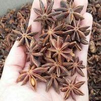 Anis étoilé de qualité supérieure Vietnam Hanfimex origine forestière naturelle herbes de haute qualité épices séchées exportées meilleur séchage 0084915196568